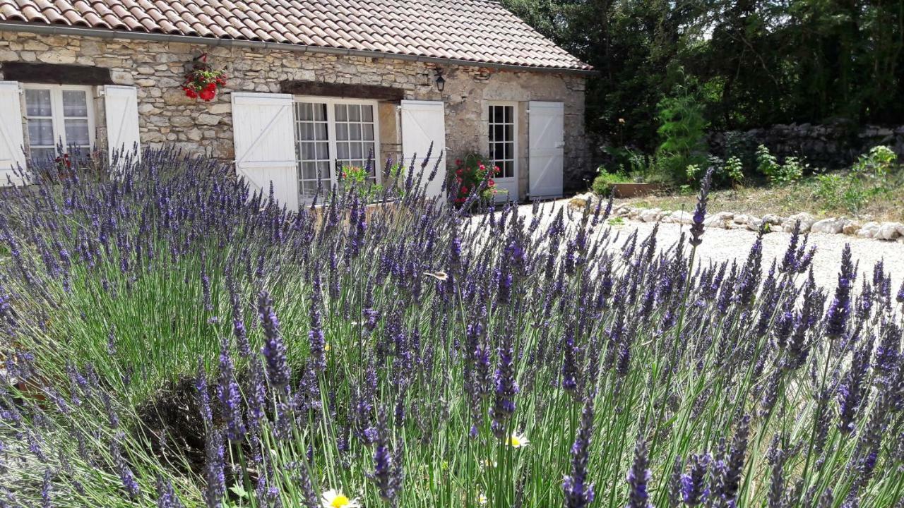 Les Vitarelles En Quercy Berganty Exterior photo